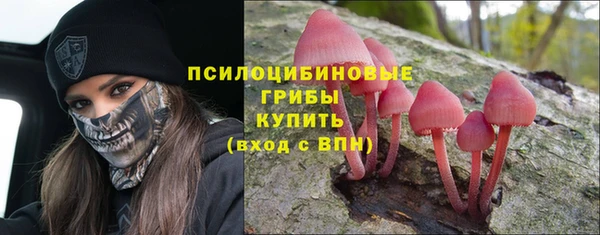 стаф Пролетарск